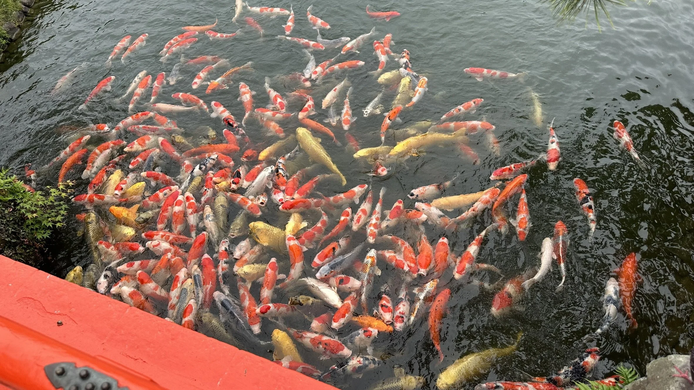 Ritsurin Garden (Takamatsu)