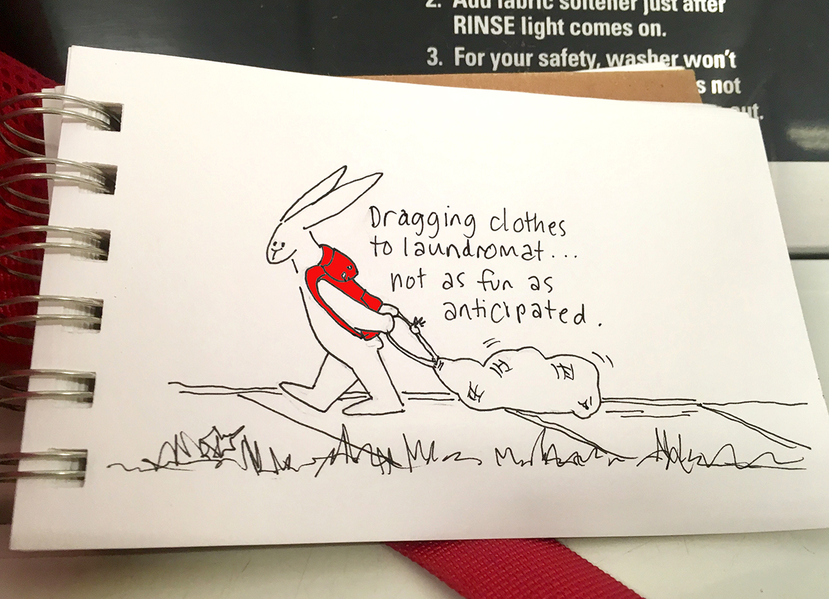 bunny-laundry-SS.jpeg