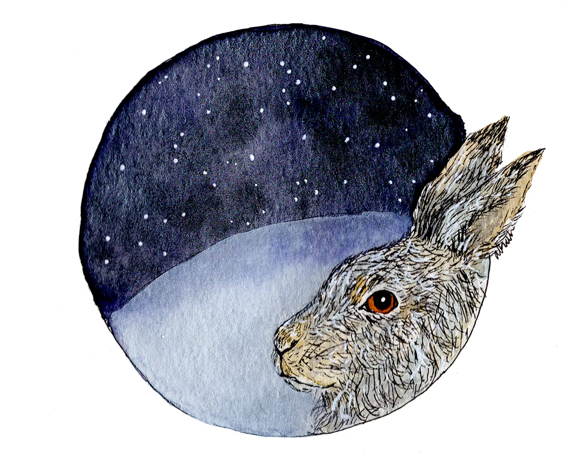 hare-stars002.jpg