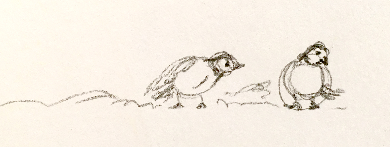 birds-02.jpeg