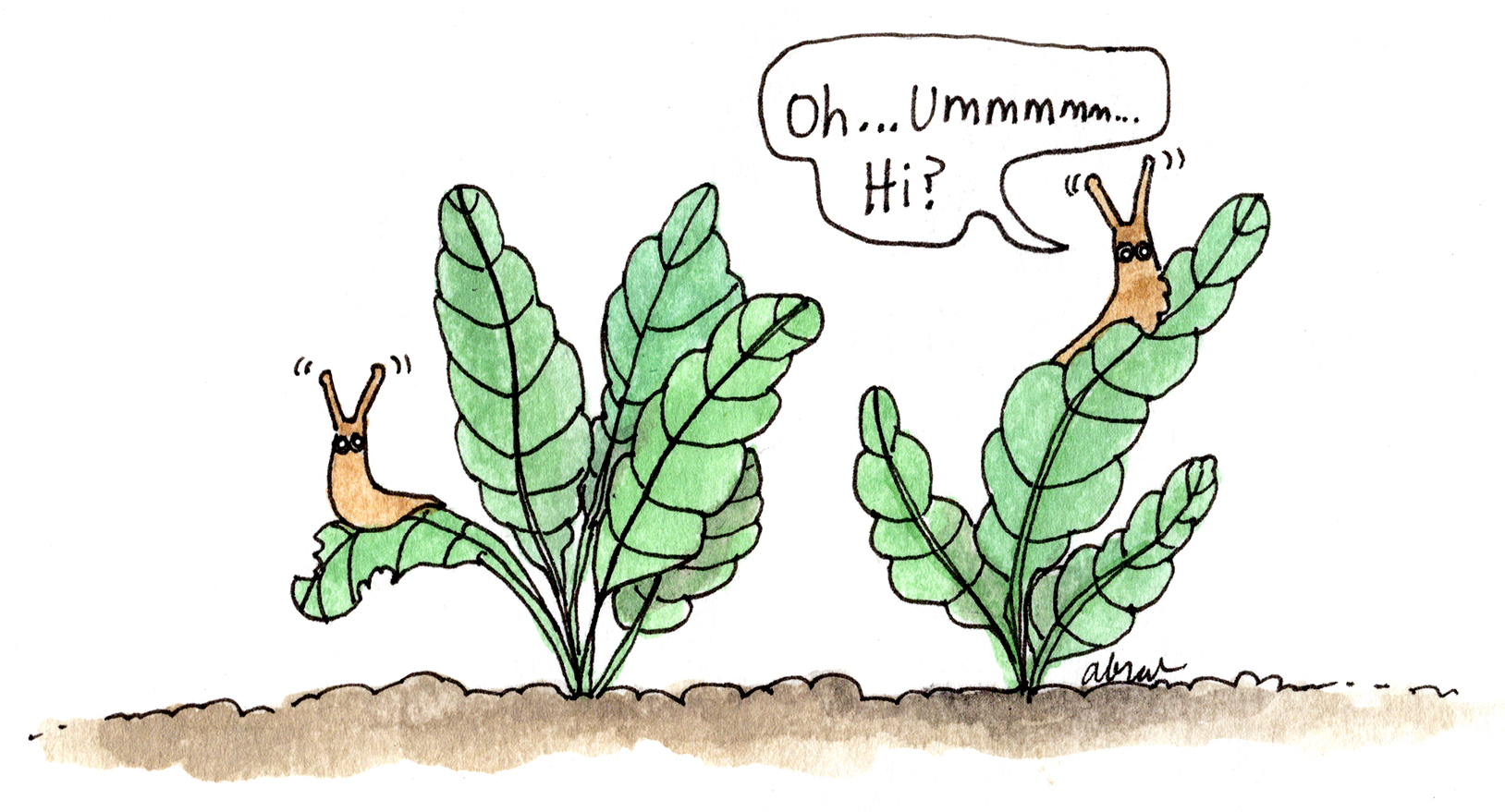 slugs.jpg