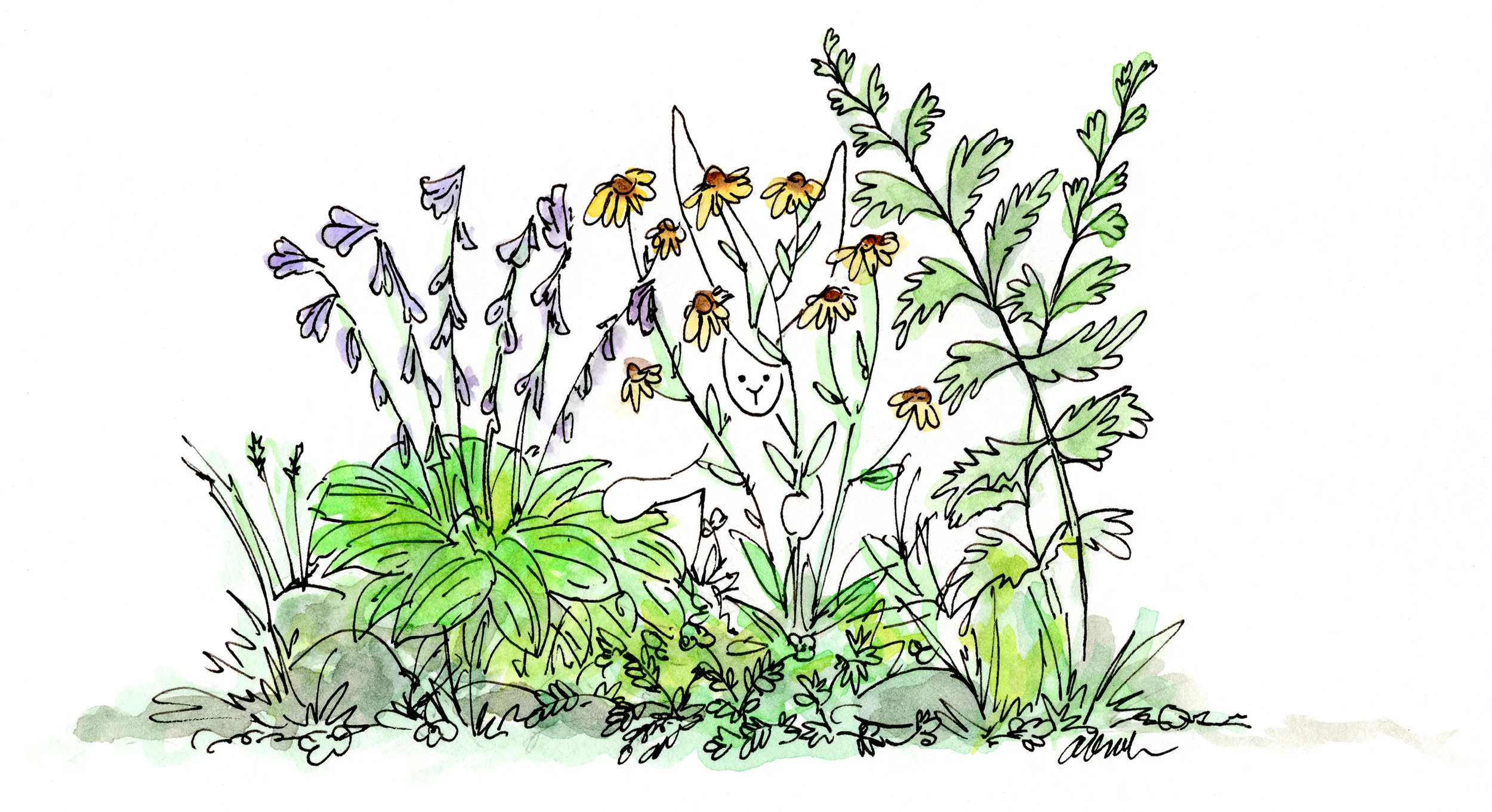 hide-flowers002.jpg