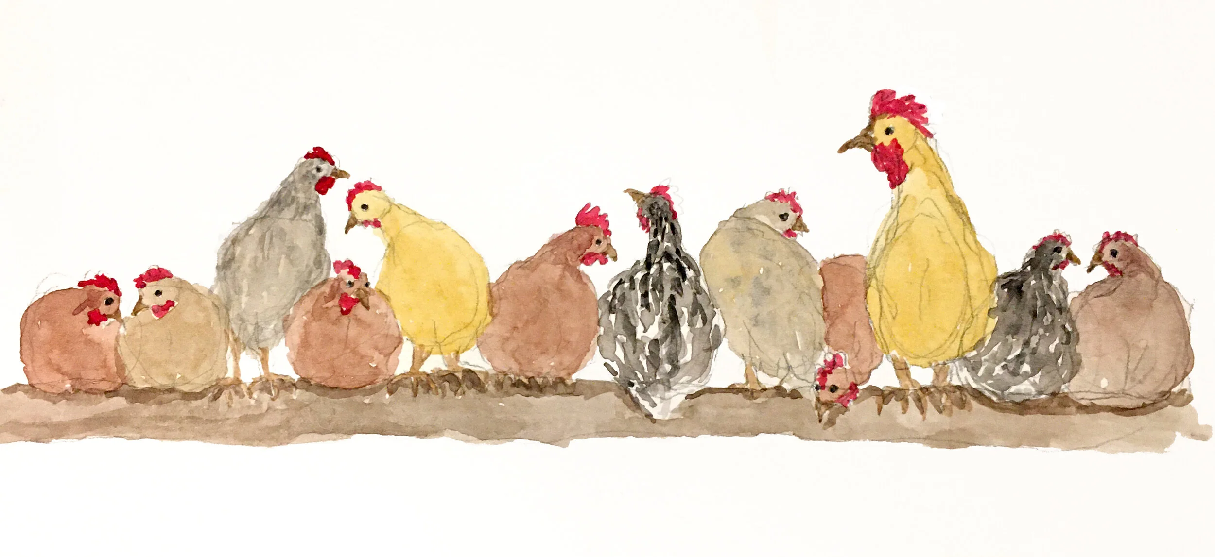 hens.jpg