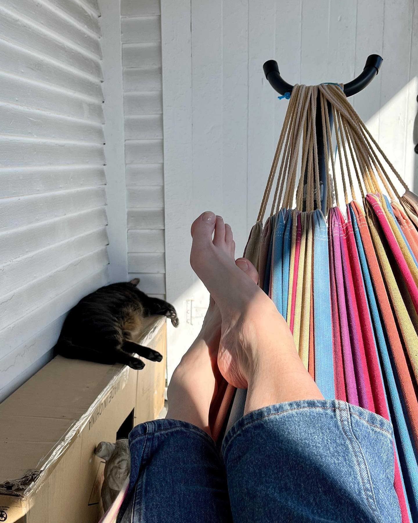 Porch life when the sun is out in February. #allthesun #vermontwinter #soakitup #lazycat #lazyhuman #hammock #sundayvibe