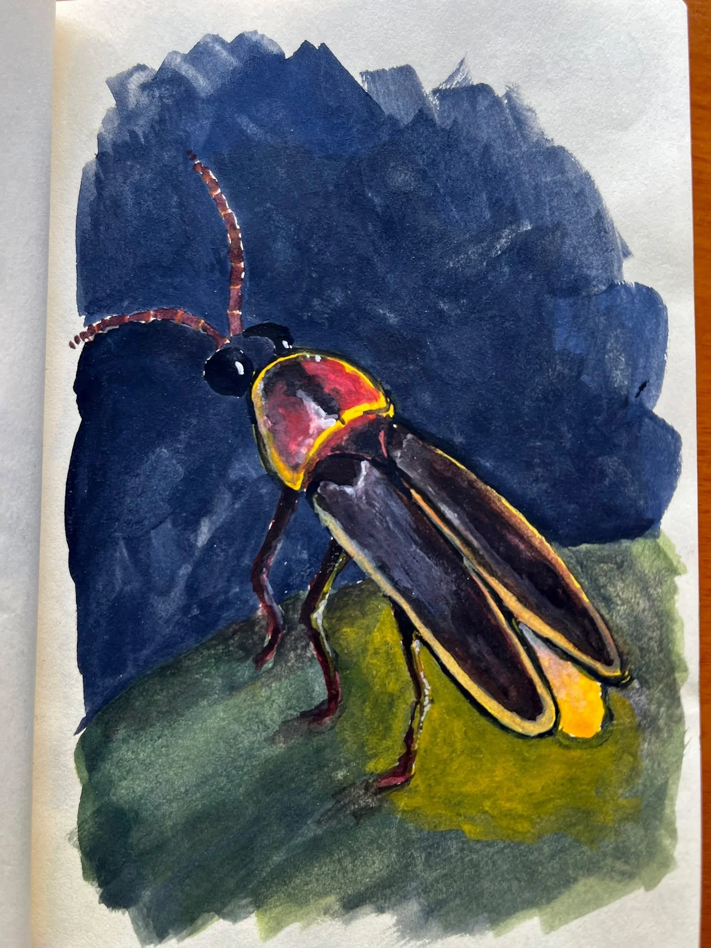 Digging through some old sketchbooks and found a mock-up of an entire bug alphabet I had worked through... so many unfinished projects!