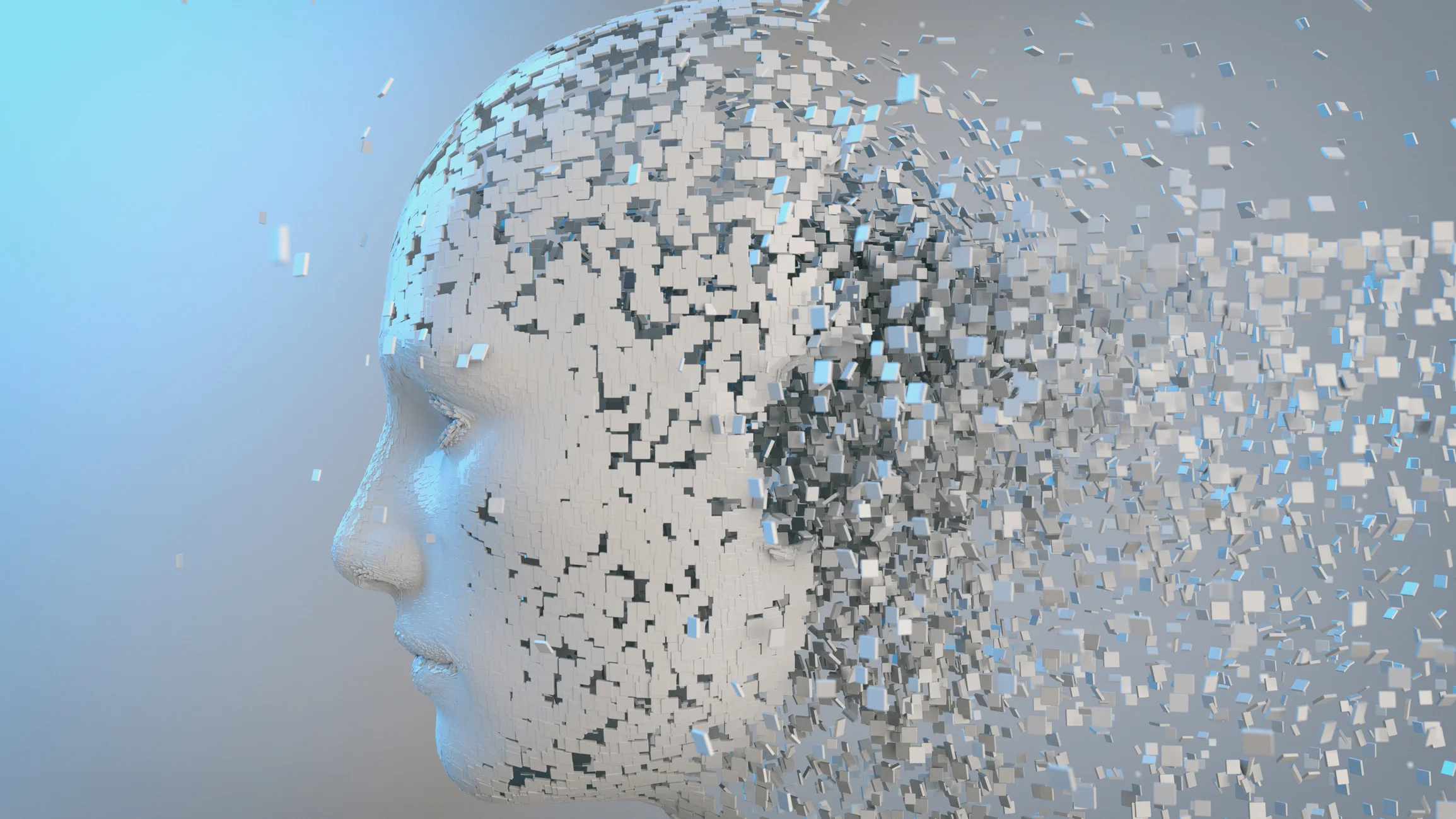 AI Impact Assessment | Netherlands