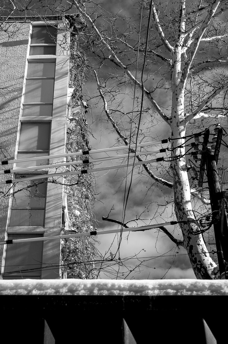 Riverview Demolition 2matt-4.jpg