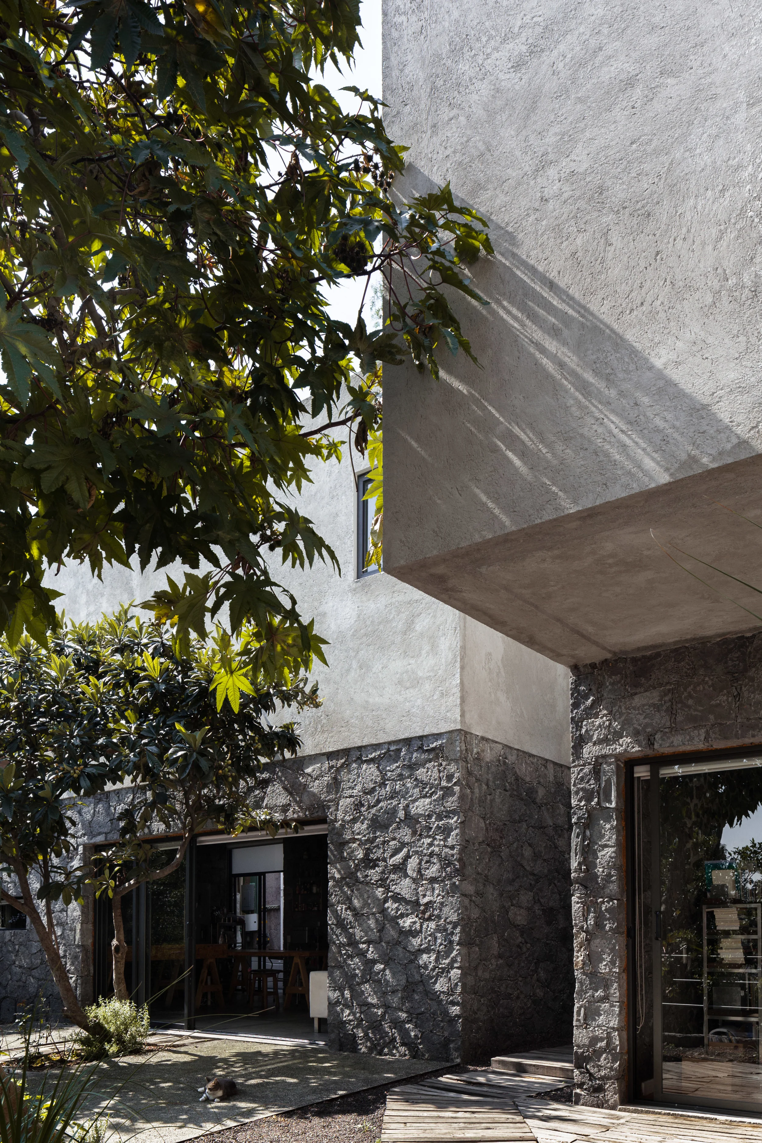 casa tp