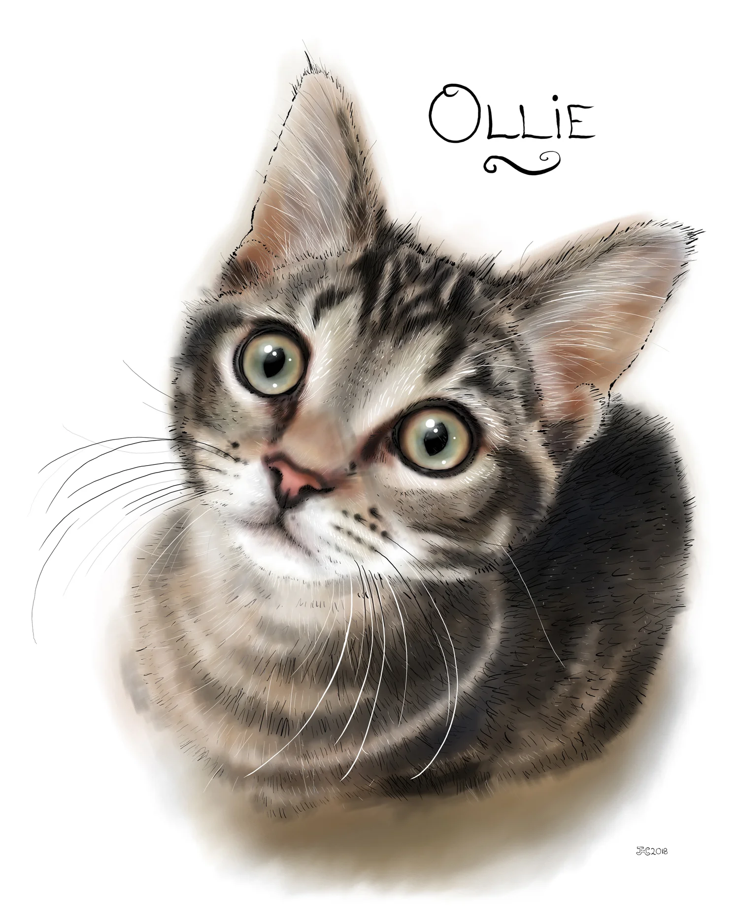 Ollie-vikki-reich-socialmedia.jpg