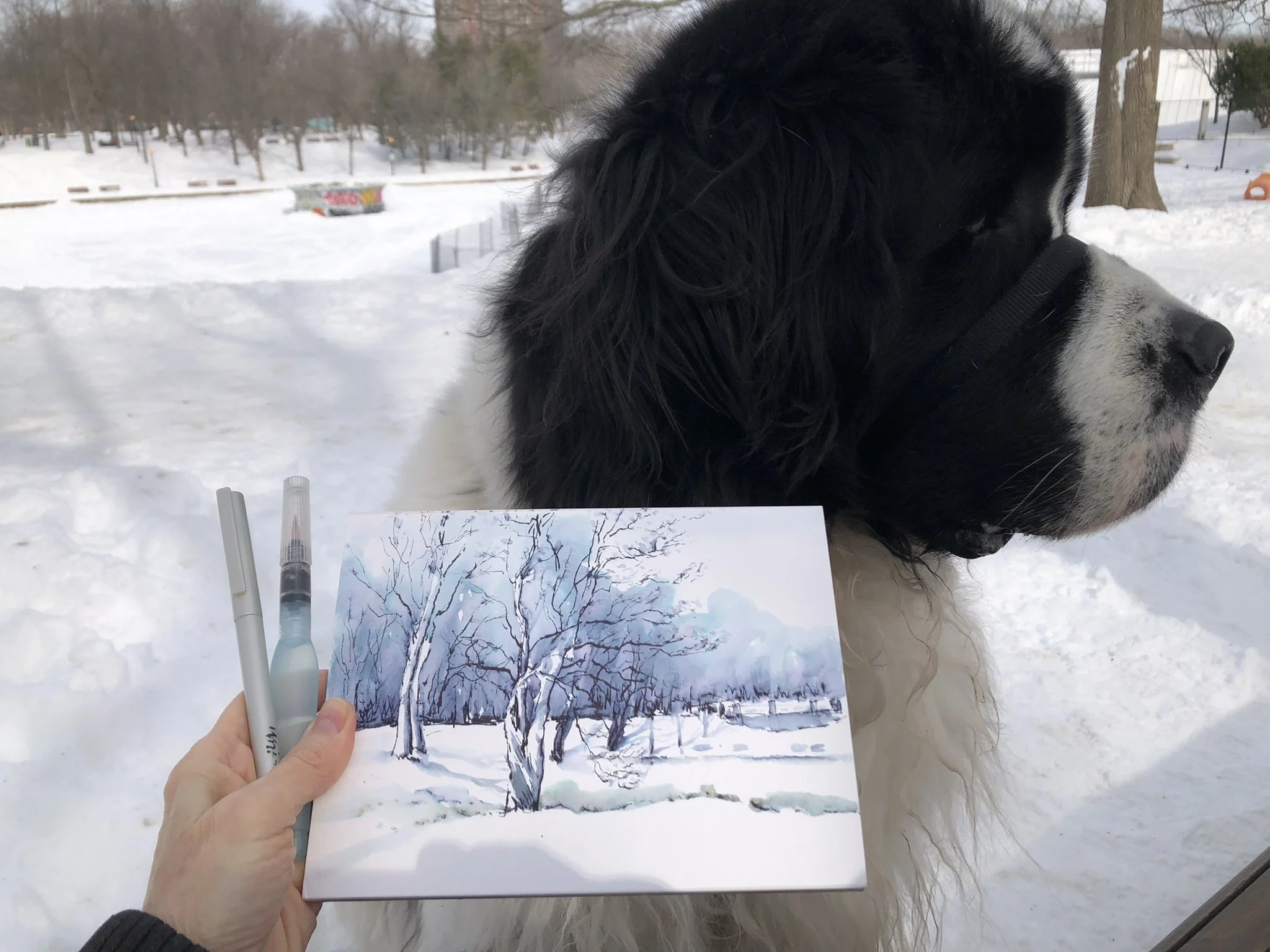 spring melt 4-2.JPEG