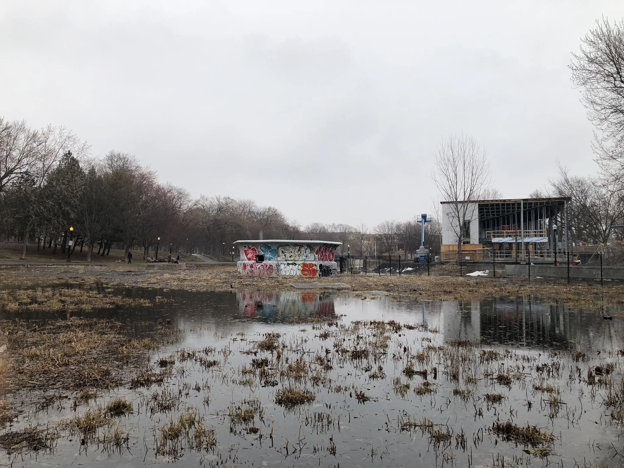 JCLittle-this one.JPEG