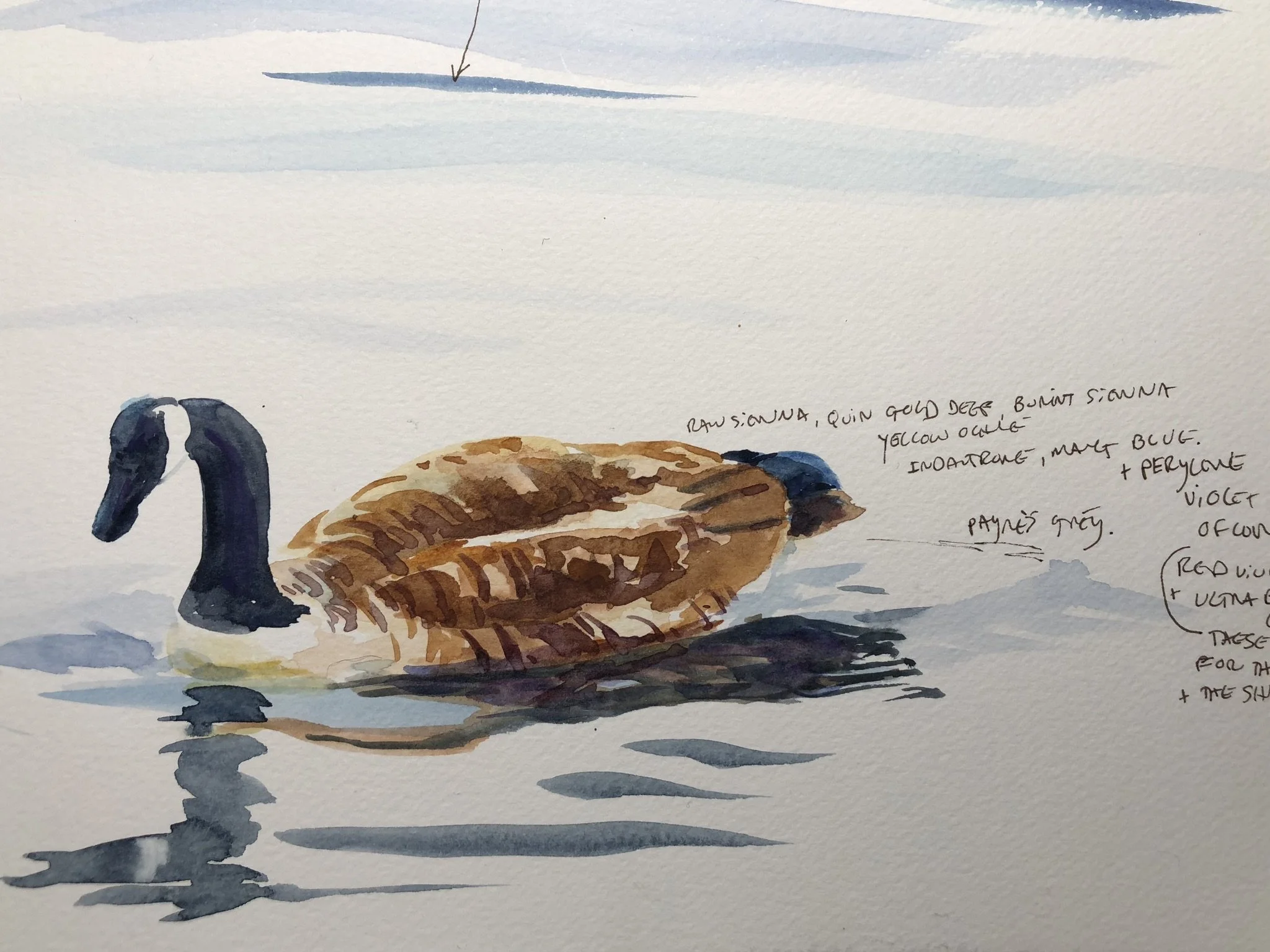 JCLITTLE-geese-1-Couple-Goals-colour study-2.JPEG