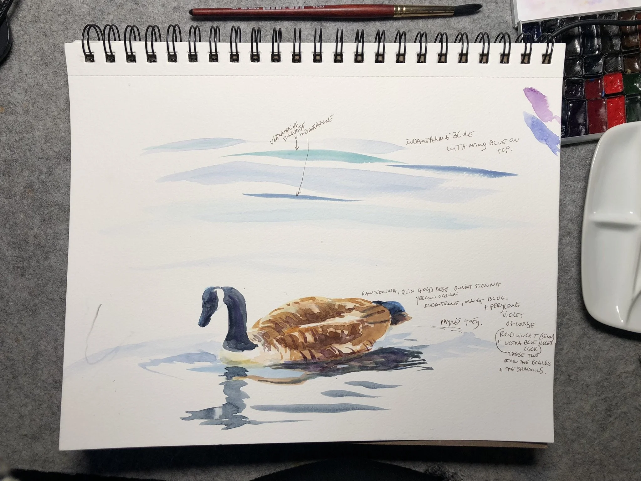 JCLITTLE-geese-1-Couple-Goals-colour study-1.JPEG