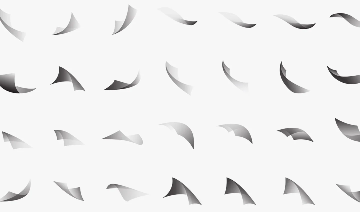 polyera_variation.jpg