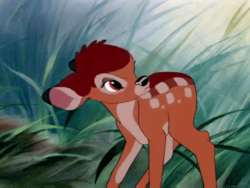 stubborn.gif