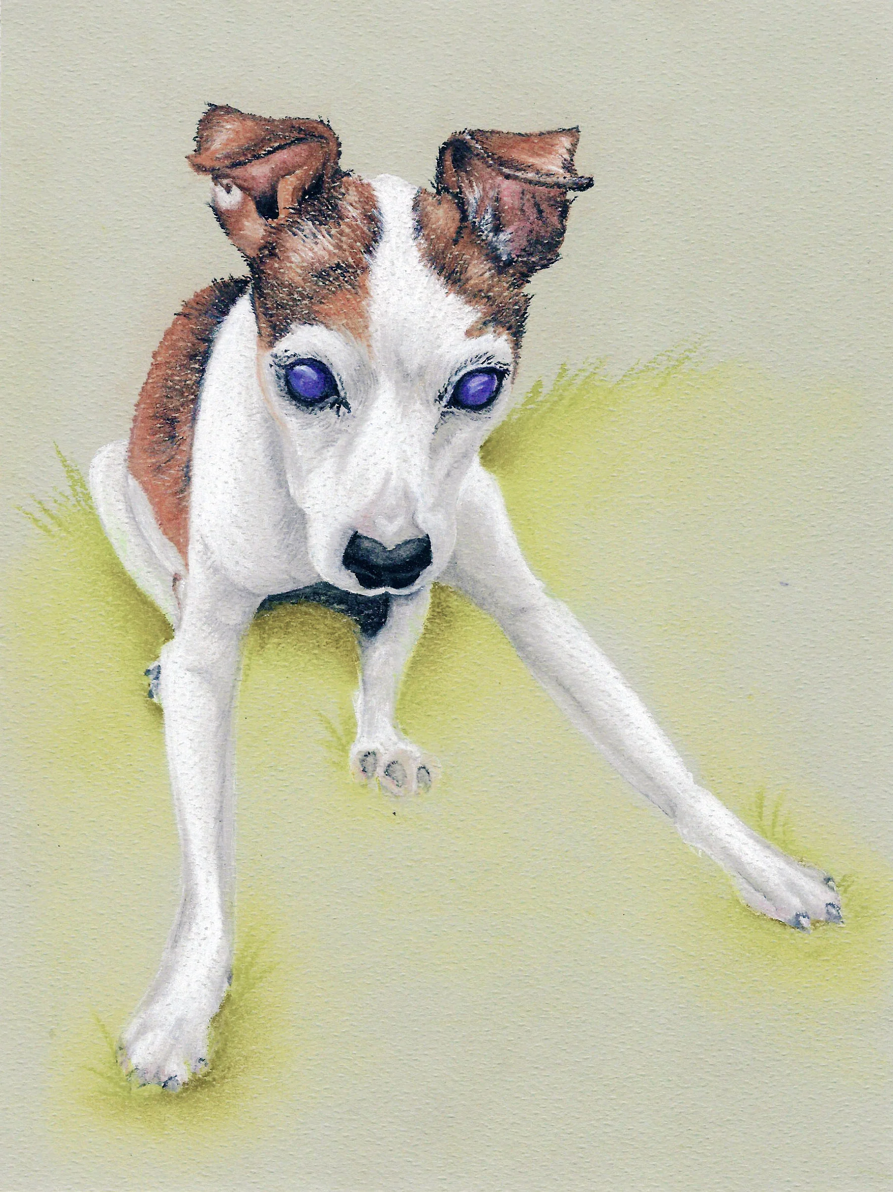 Sophie’s memorial portrait; September 2, 2018.
