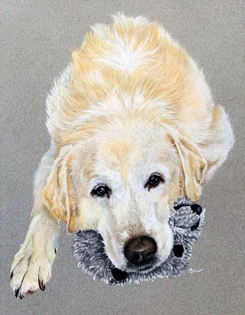 bones-yellow-lab-portrait-hunting-dog.jpg