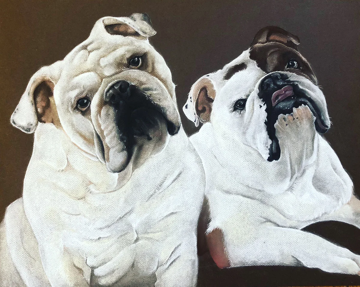 bulldogs for web.jpg