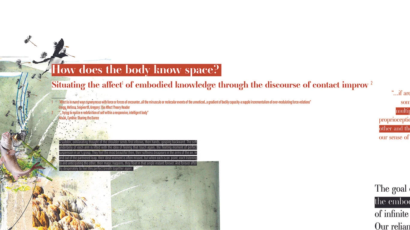 Collage Assembly_1.jpg