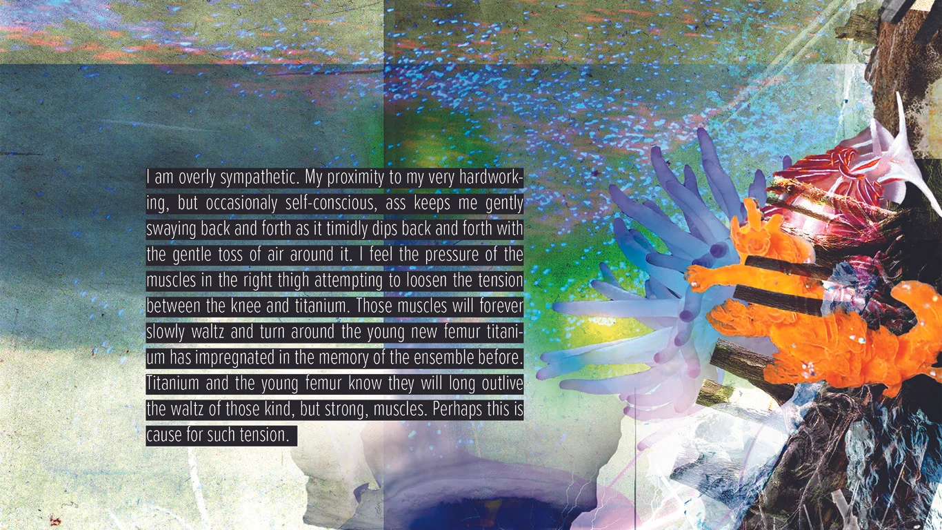 Collage Assembly_6.jpg