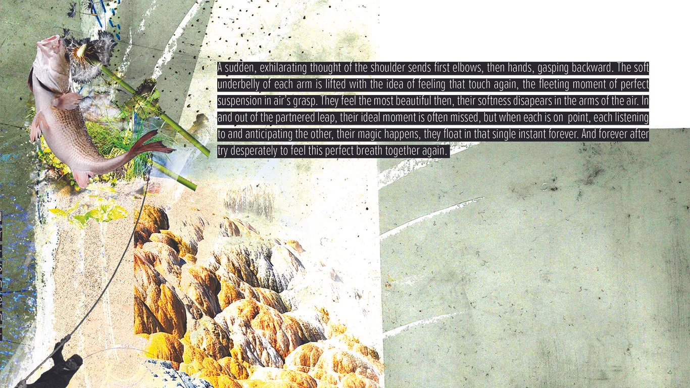 Collage Assembly_8.jpg