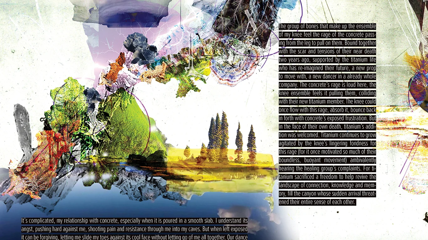 Collage Assembly_4 copy.jpg