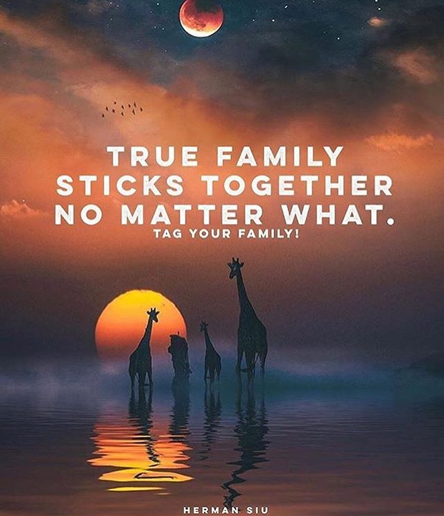 Tag your family 🙏🏻