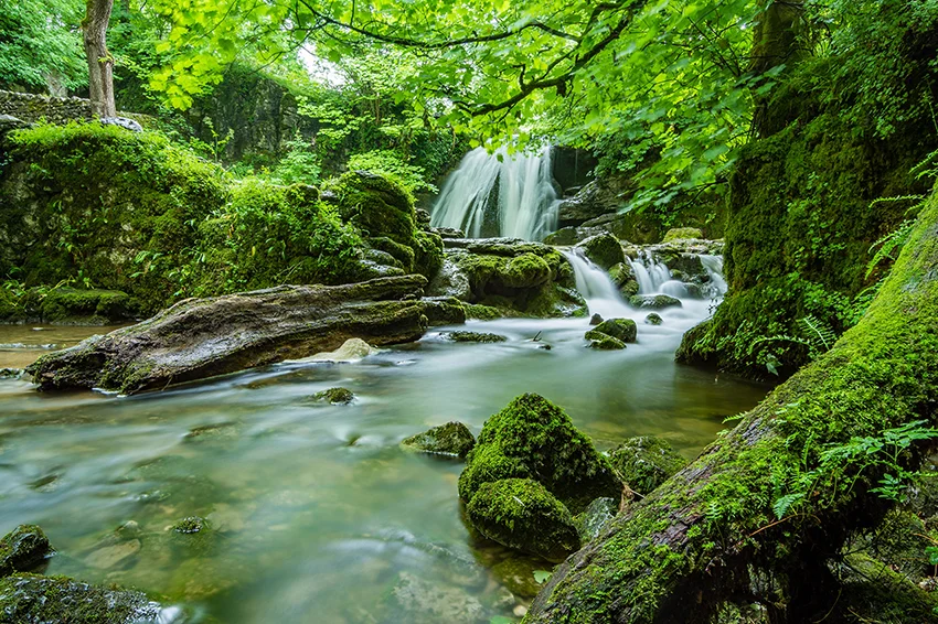 beautiful-cascade-creek-460621+(1)LITEN.jpg