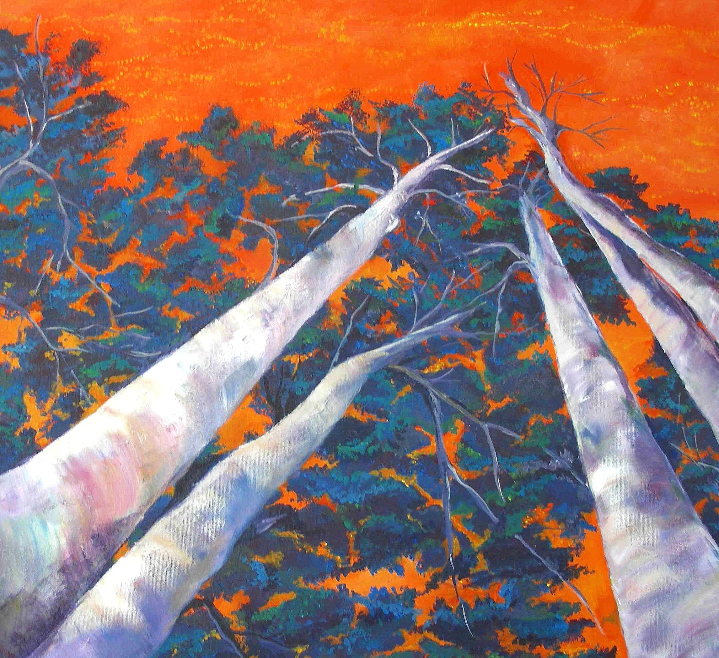 Birch+trees.jpg