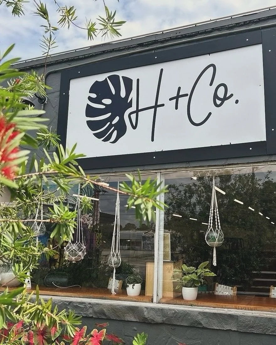 In the neighborhood? Walk-ins are welcome!
Stop in and we&rsquo;ll take care of you.
⠀⠀⠀⠀⠀⠀⠀⠀⠀
If you&rsquo;re more of a planner, get on our books! Make an appointment, at www.hairandco.salon 
.
.
.
#pensacola #downtownpensacola #pensacolahairgang #p