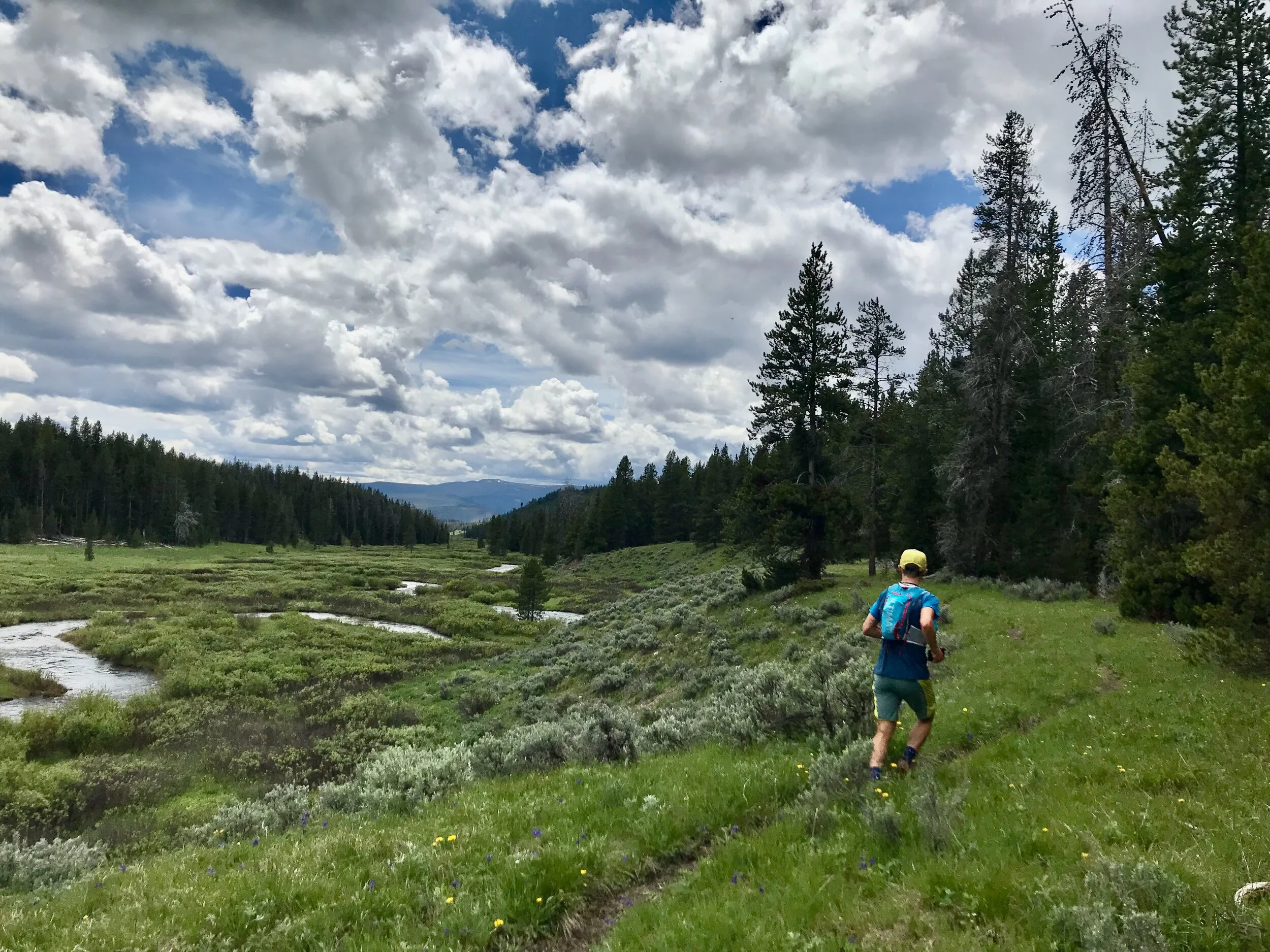 The magnificent Fan Creek meadows