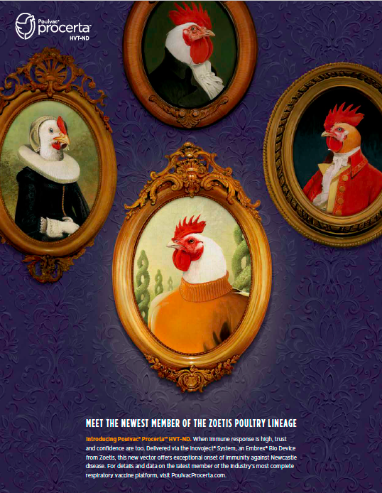 CA Illustration Annual