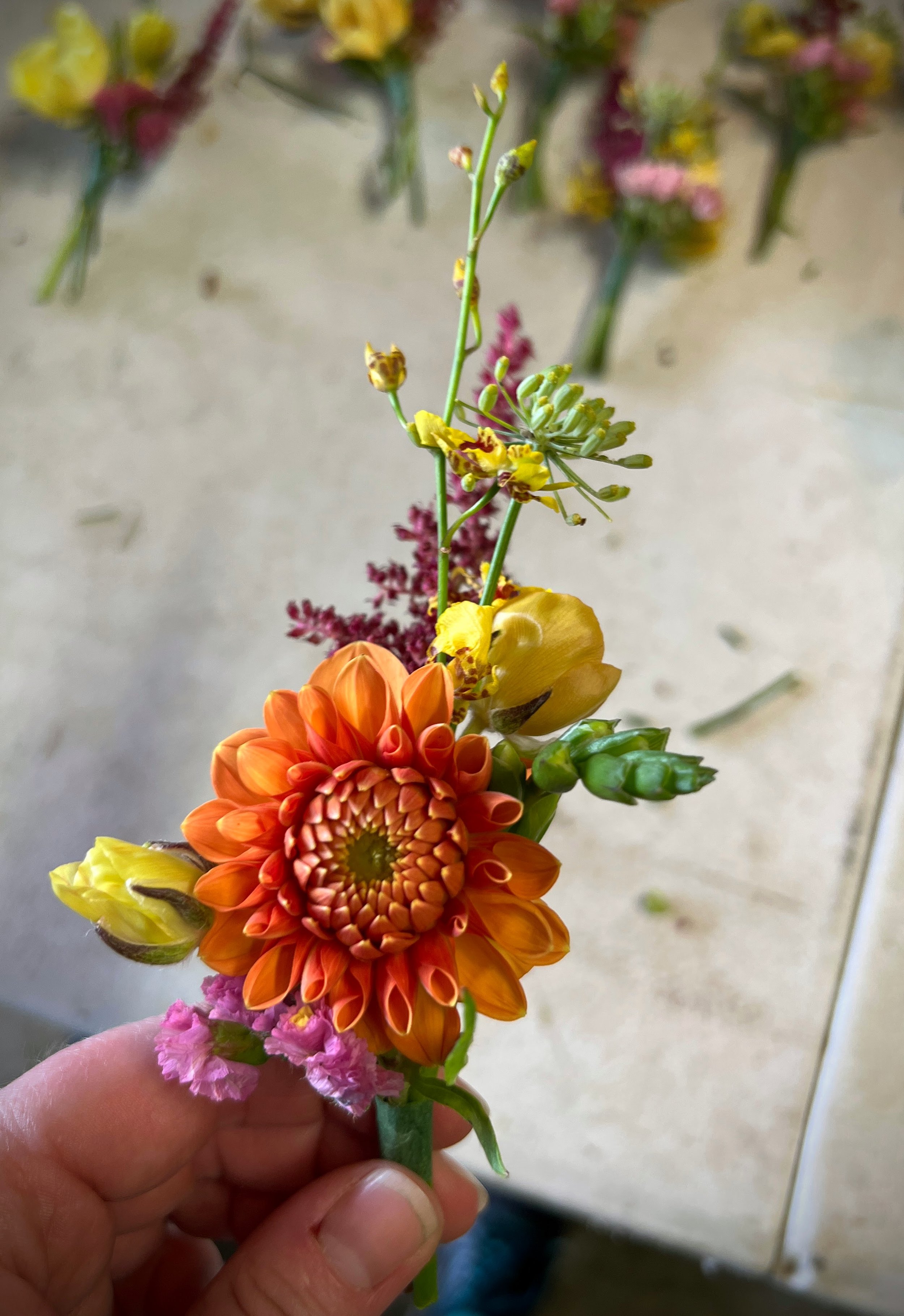 Freelance work for Breanna Jane Botanicals