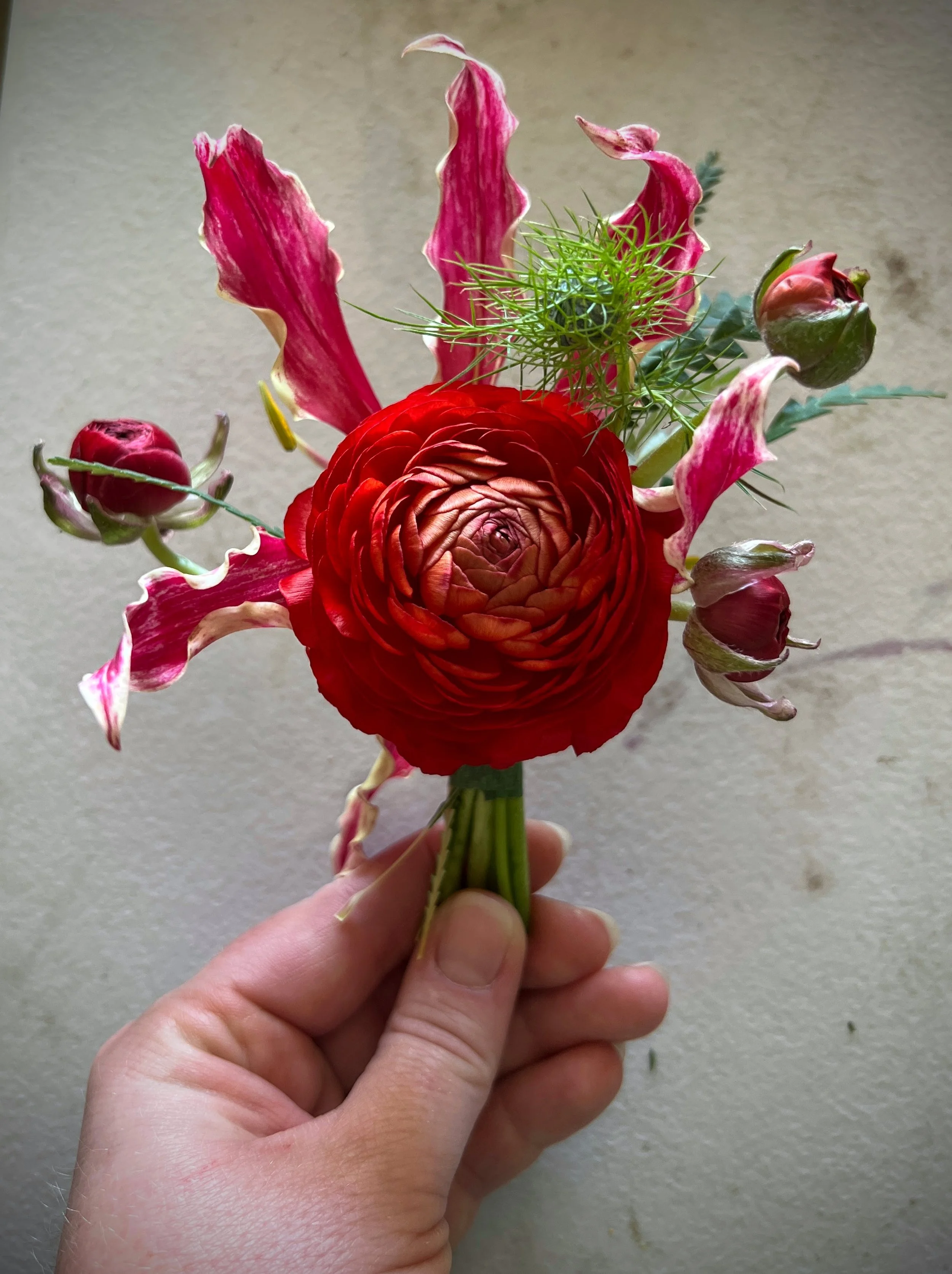 Freelance work for Breanna Jane Botanicals