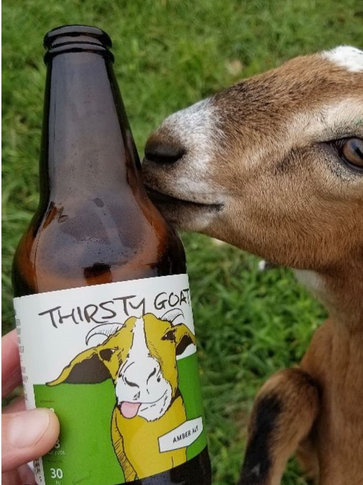 Photo courtesy of Wild Edge Farms