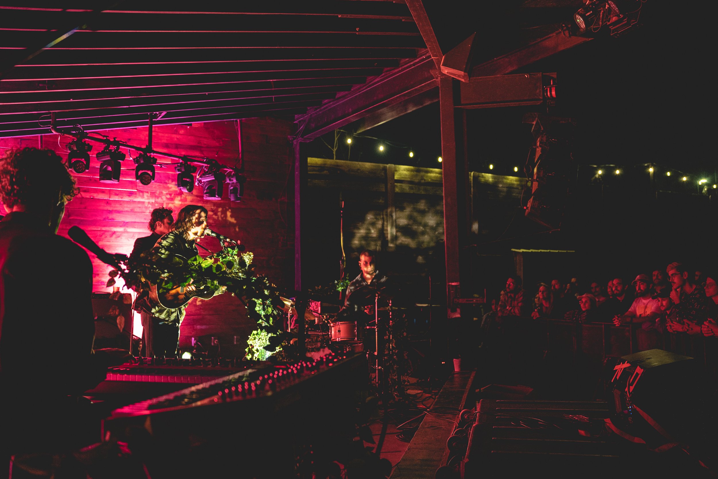  Andy Shauf serenades the crowd from behind the shadows of the leafy set design. 