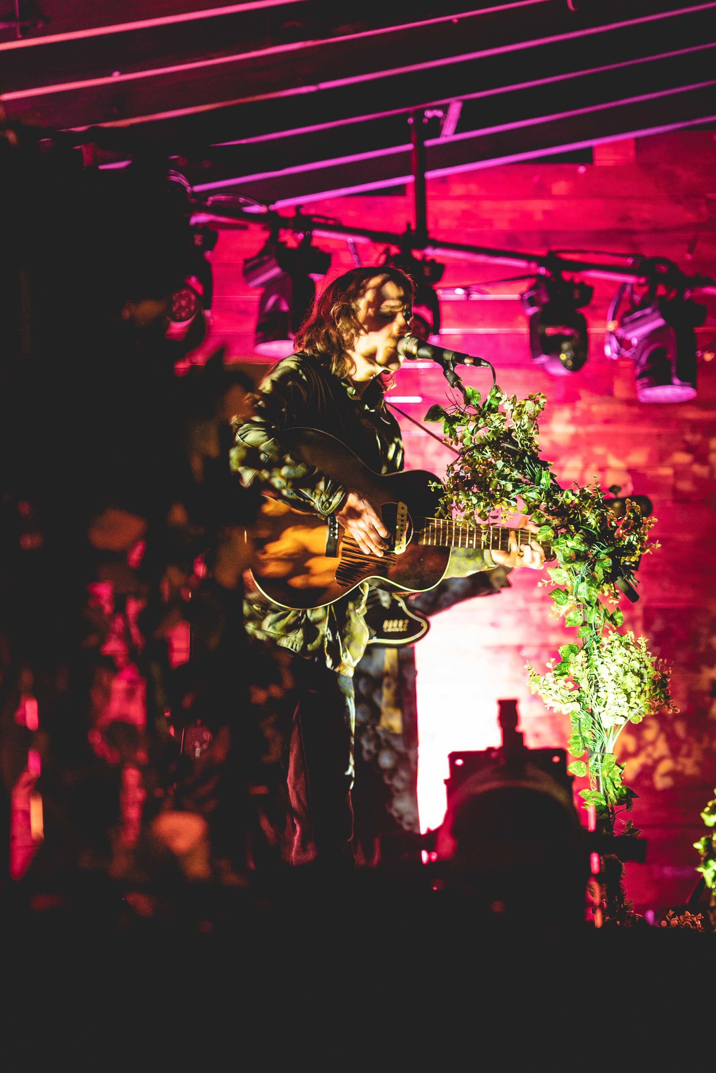  Andy Shauf serenades the crowd from behind the shadows of the leafy set design. 