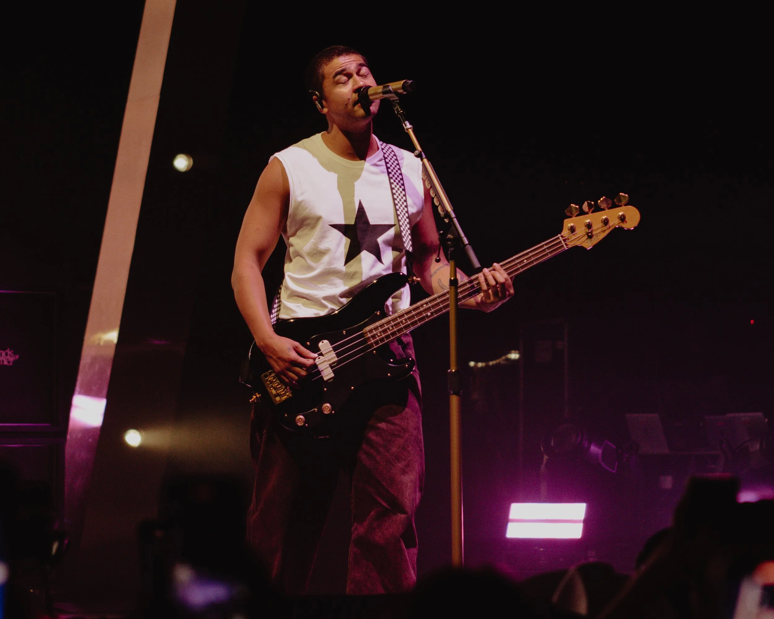 Concert Recap: 5 Seconds of Summer at the Cynthia Woods Mitchell ...