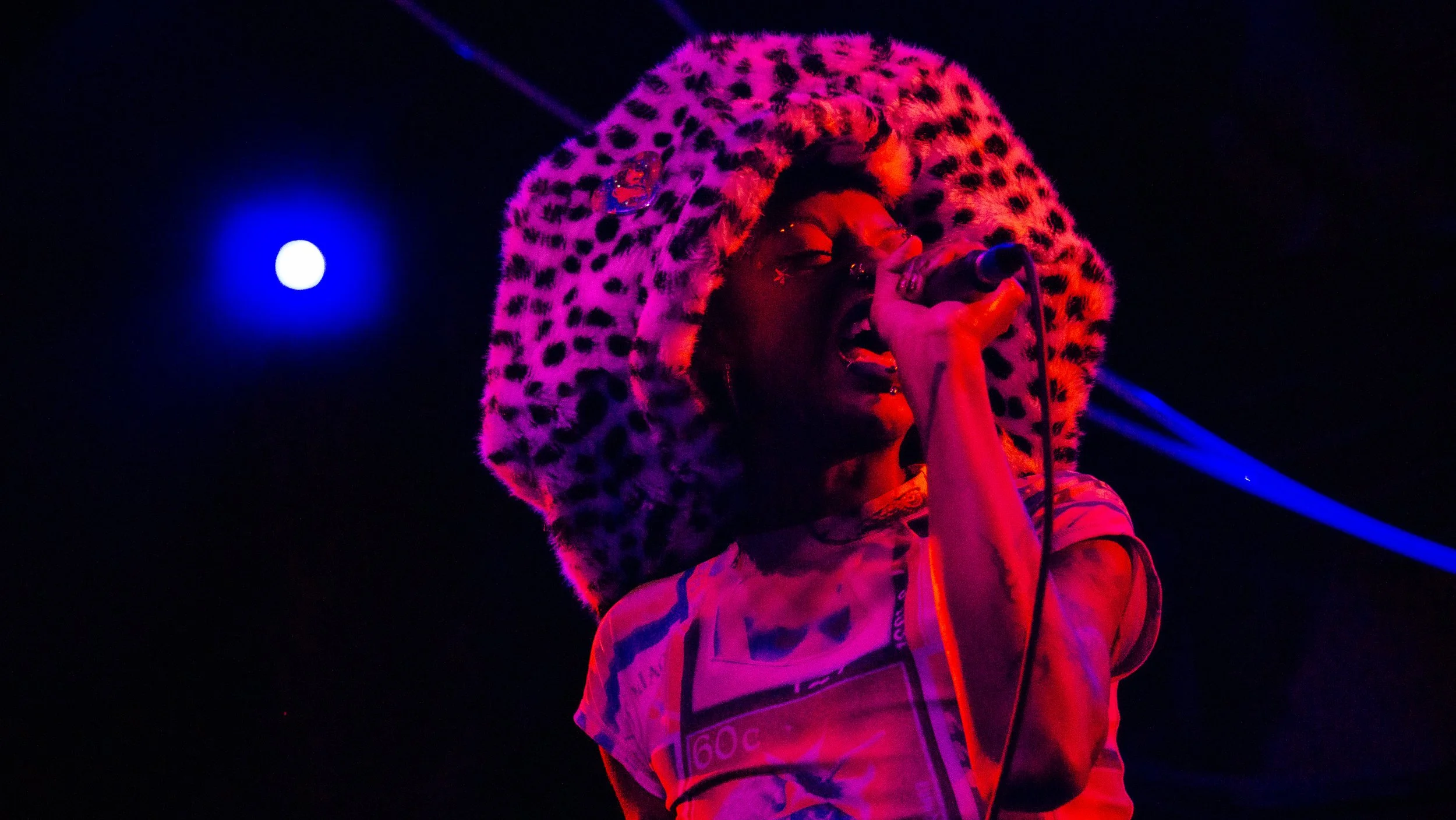  LustSick Puppy performs songs&nbsp; from their new digital hardcore album  ASHARDASYOUCAN . 