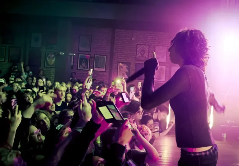 Jane Remover and Music Fandom in the Digital Era