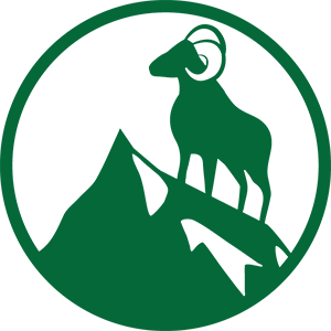 IMG_5306.PNG
