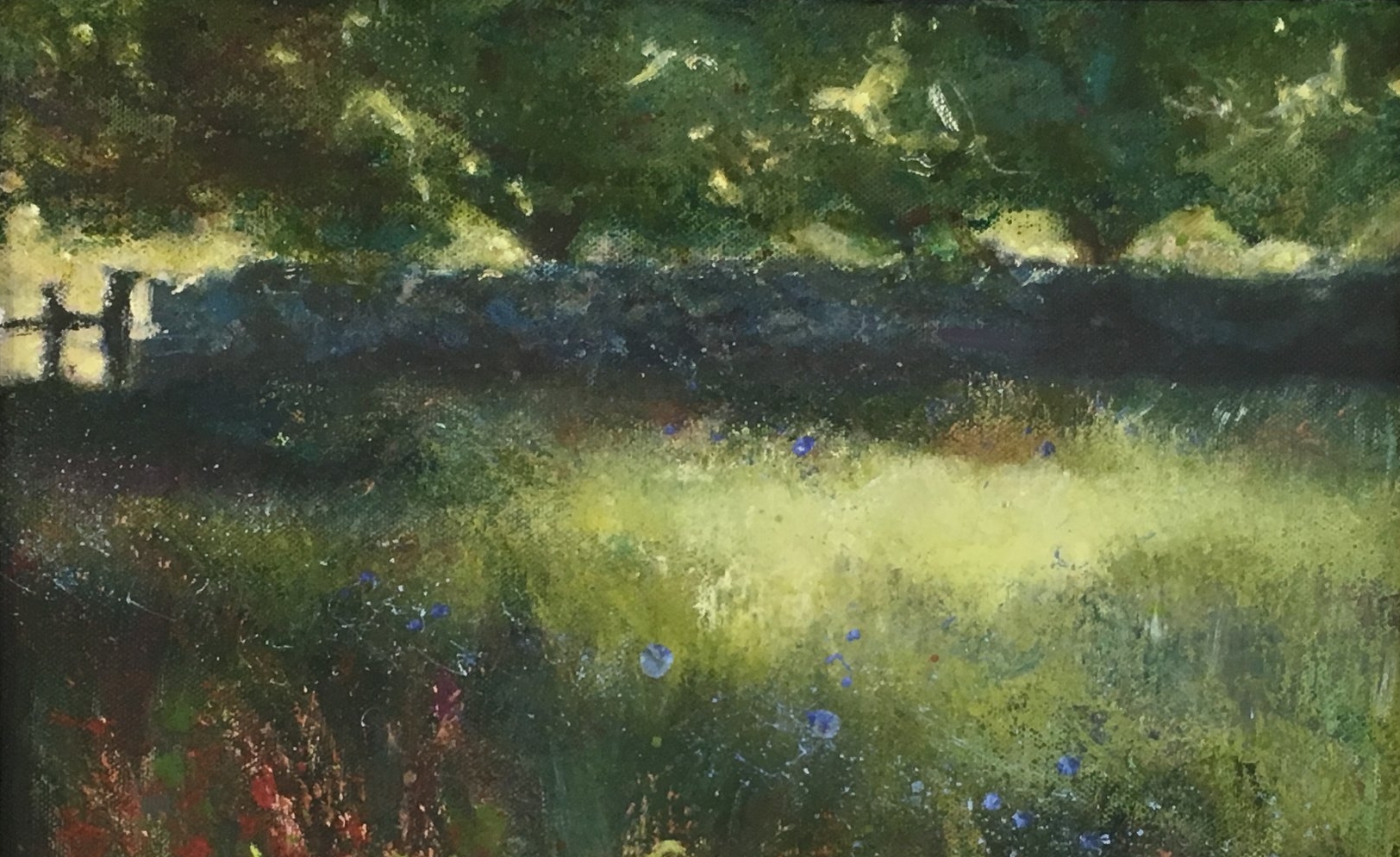 Beddgelert Meadow