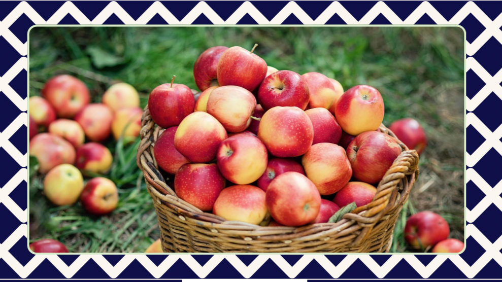 USNA NJPC Apple Cider- Pressing for our Mids!