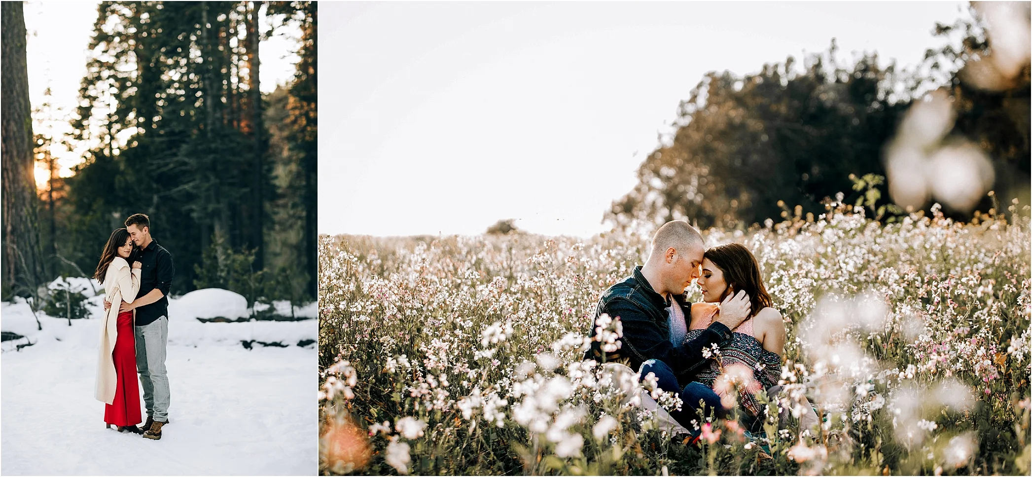 Seasons. Snow vs. spring flowers.