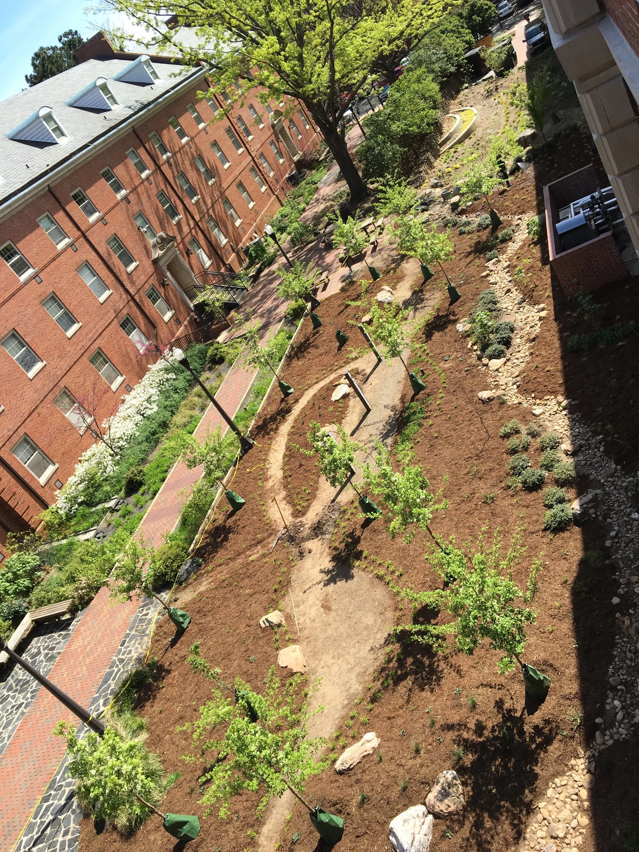 Artists Backyard NCSU Design Build 2016