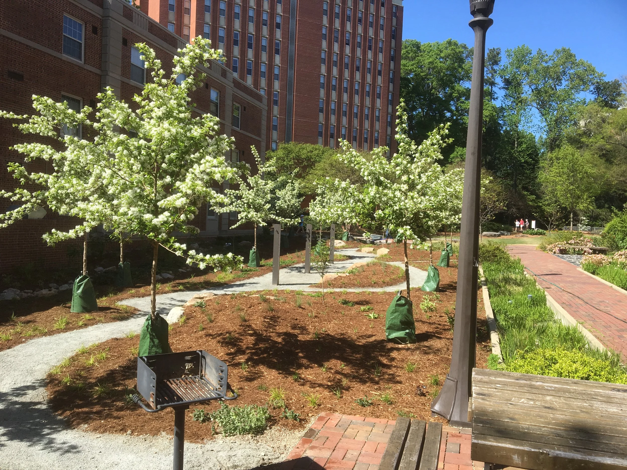 Artists Backyard NCSU Design Build 2016