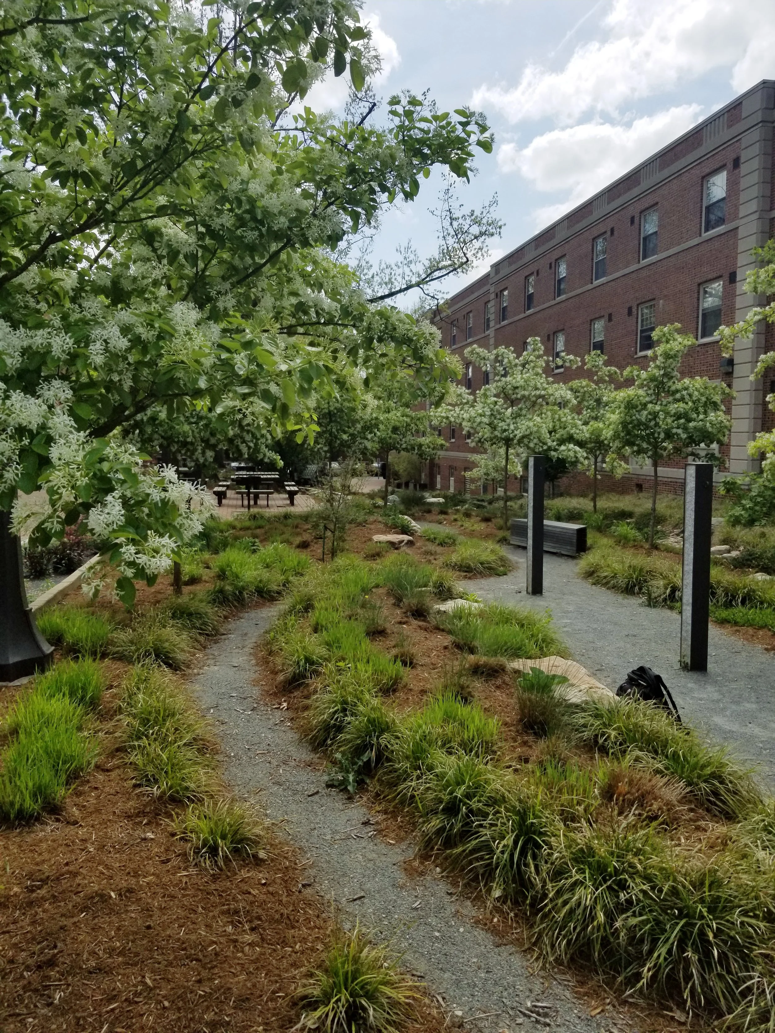 Artists Backyard NCSU Design Build 2016