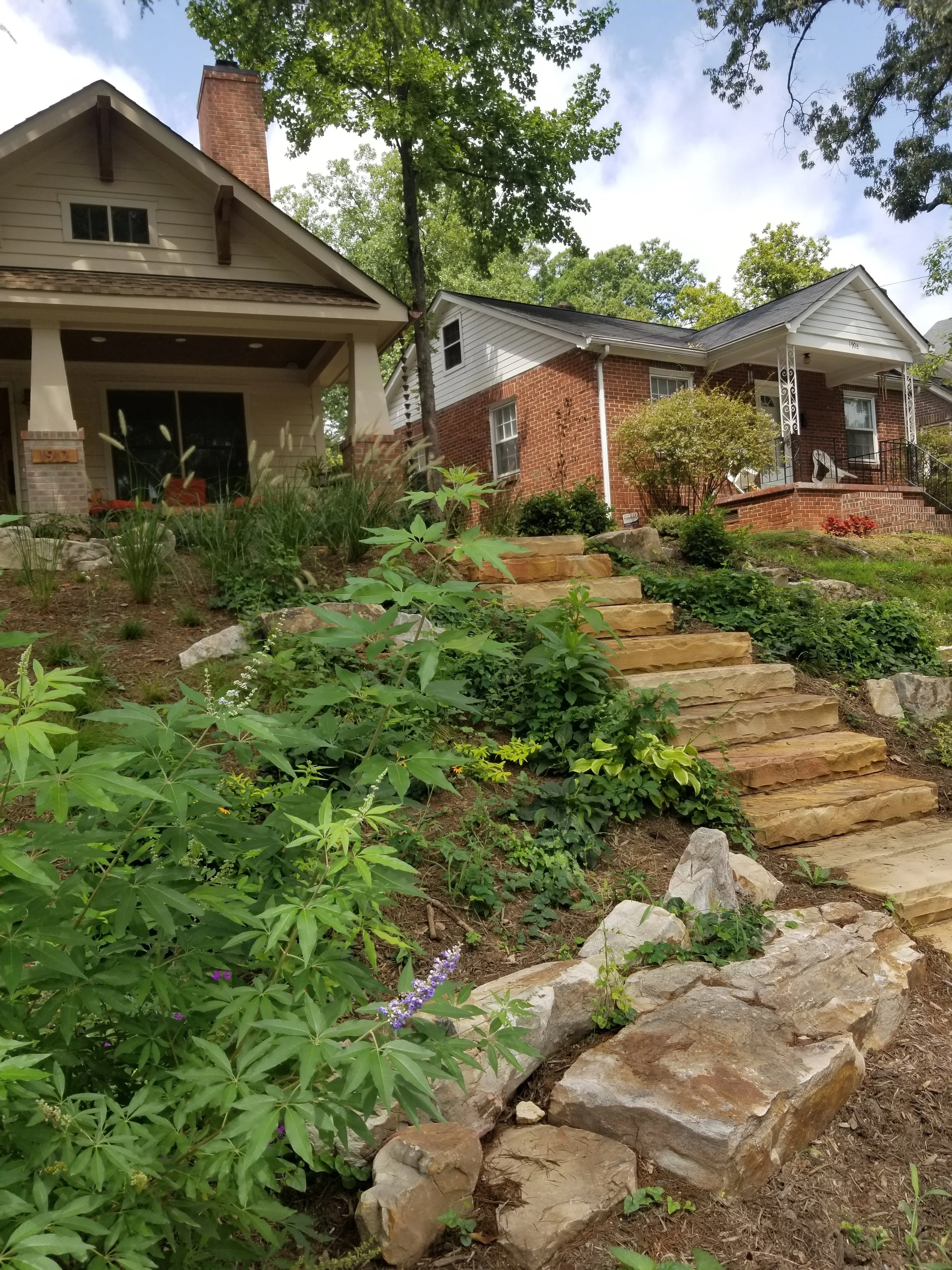 20180819_122342 (1).jpg