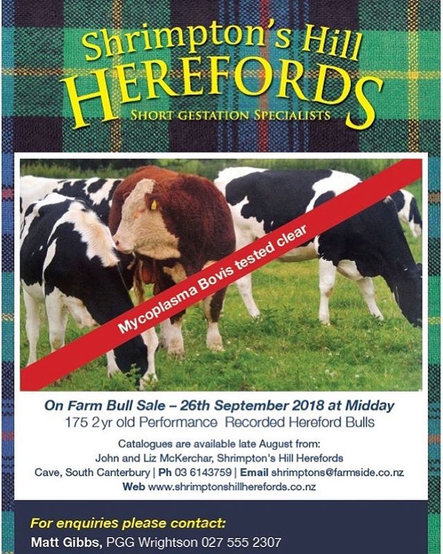 HOLY HEREFORD, THE SALE&rsquo;S NEXT MONTH