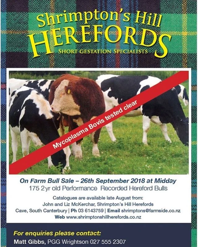 HOLY HEREFORD, THE SALE’S NEXT MONTH